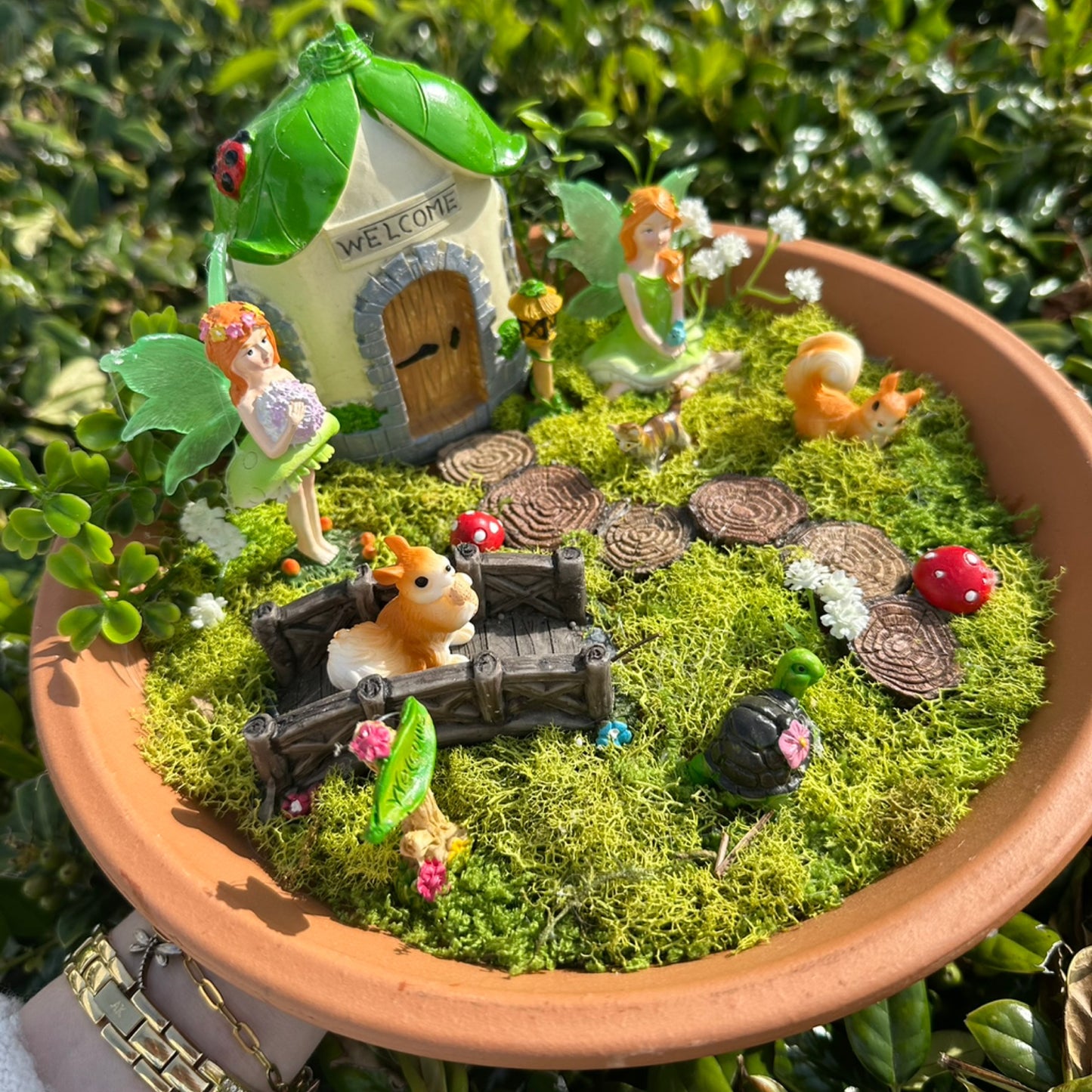 Fairy Garden