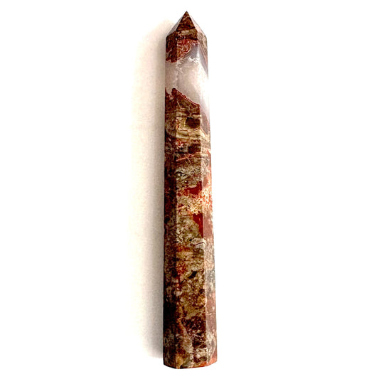 Josh's Red Money Agate