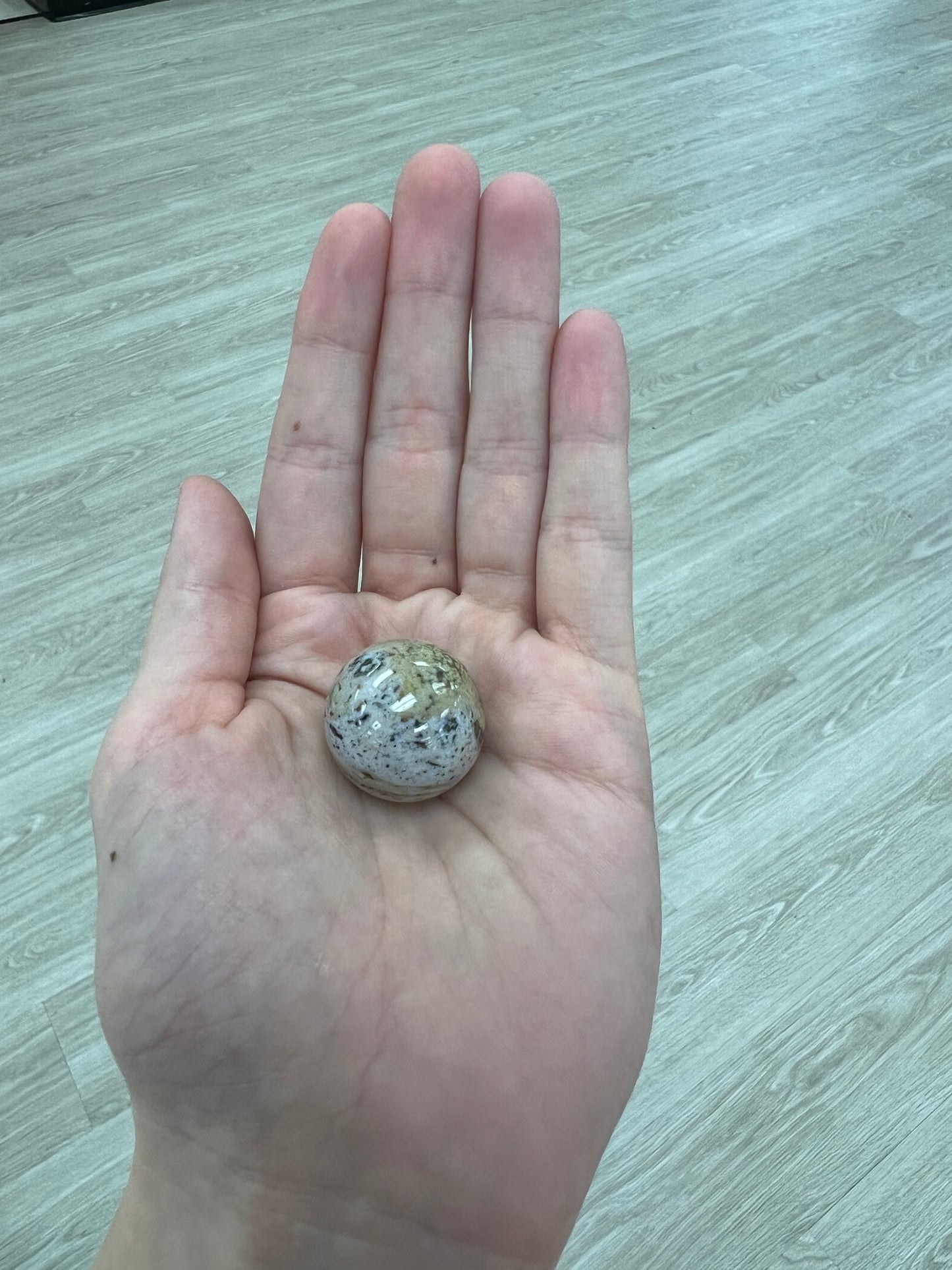 Ocean Jasper