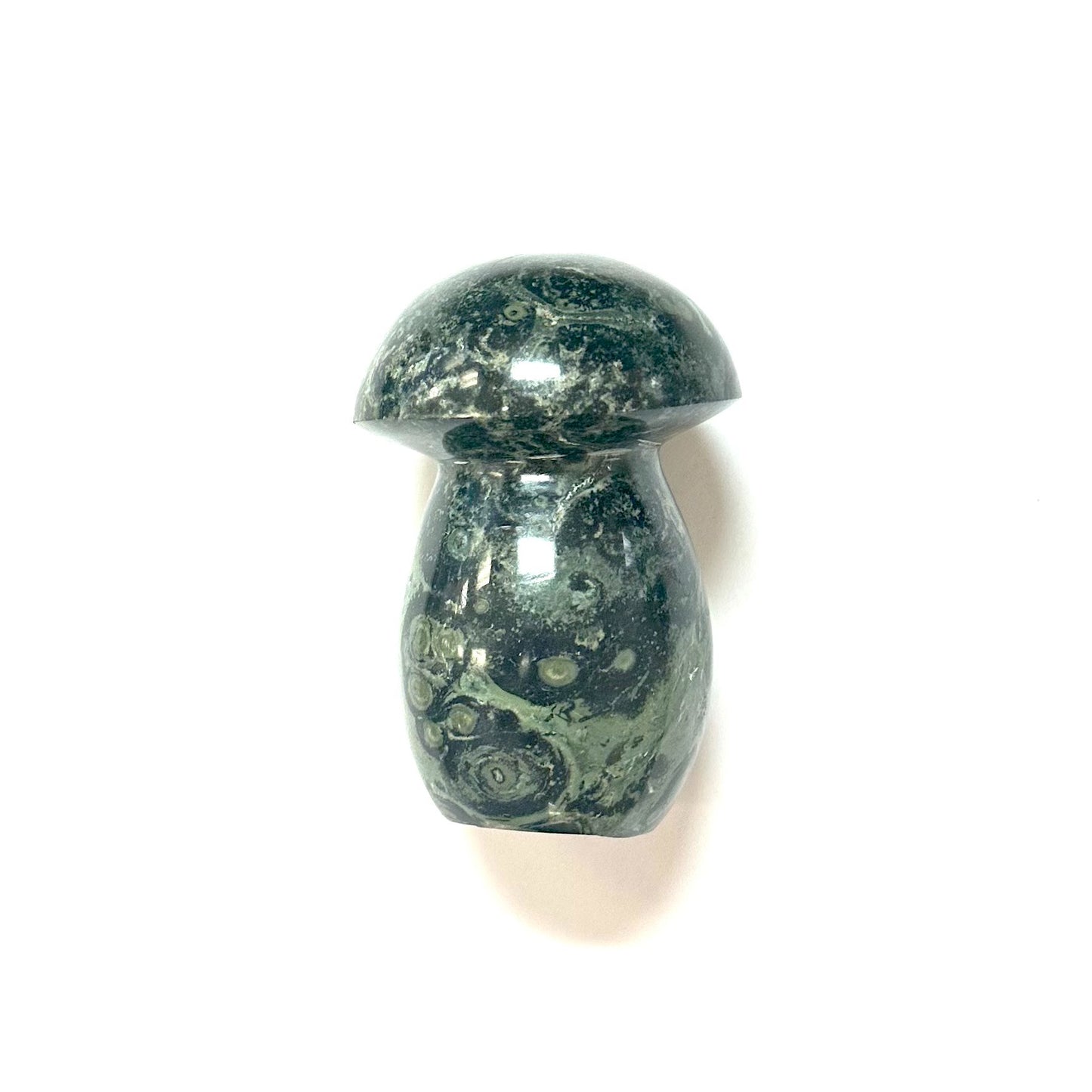 Kambaba Jasper recently added