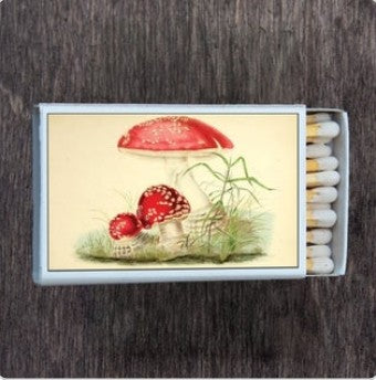 Matches