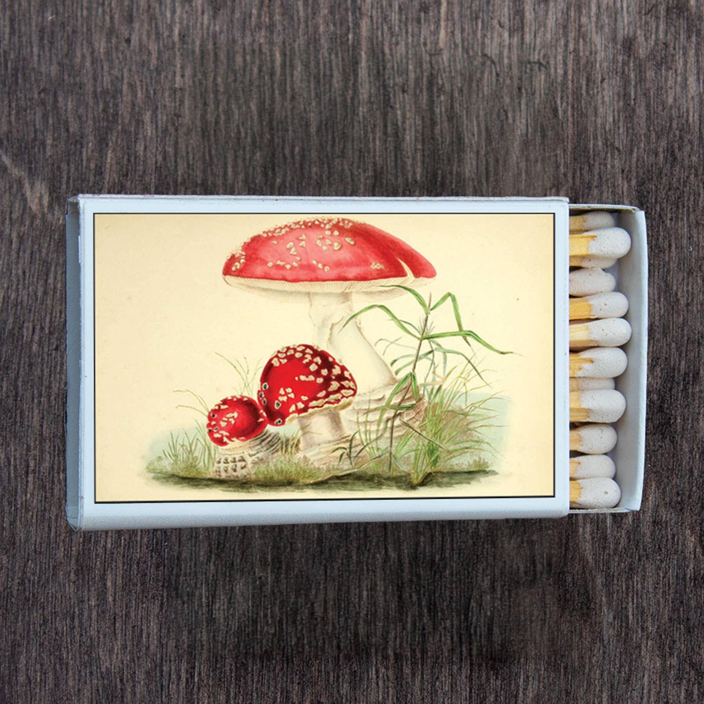 Toadstool Mushroom Matchbox