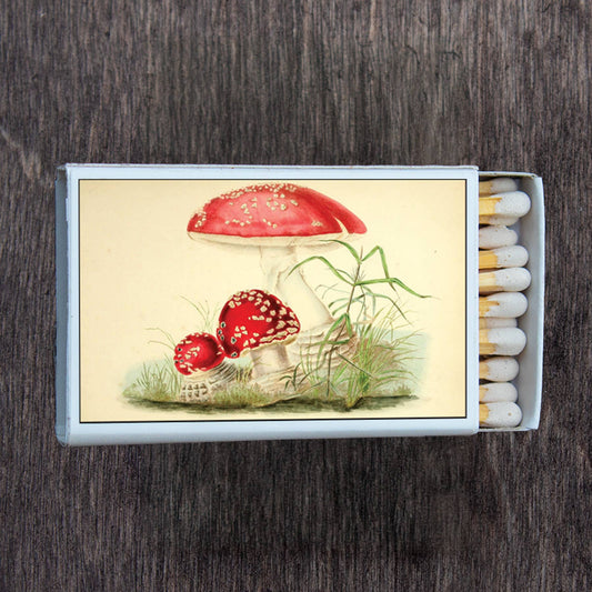 Toadstool Mushroom Matchbox