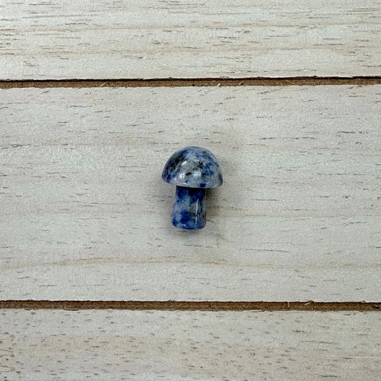 Lapis Lazuli recently added